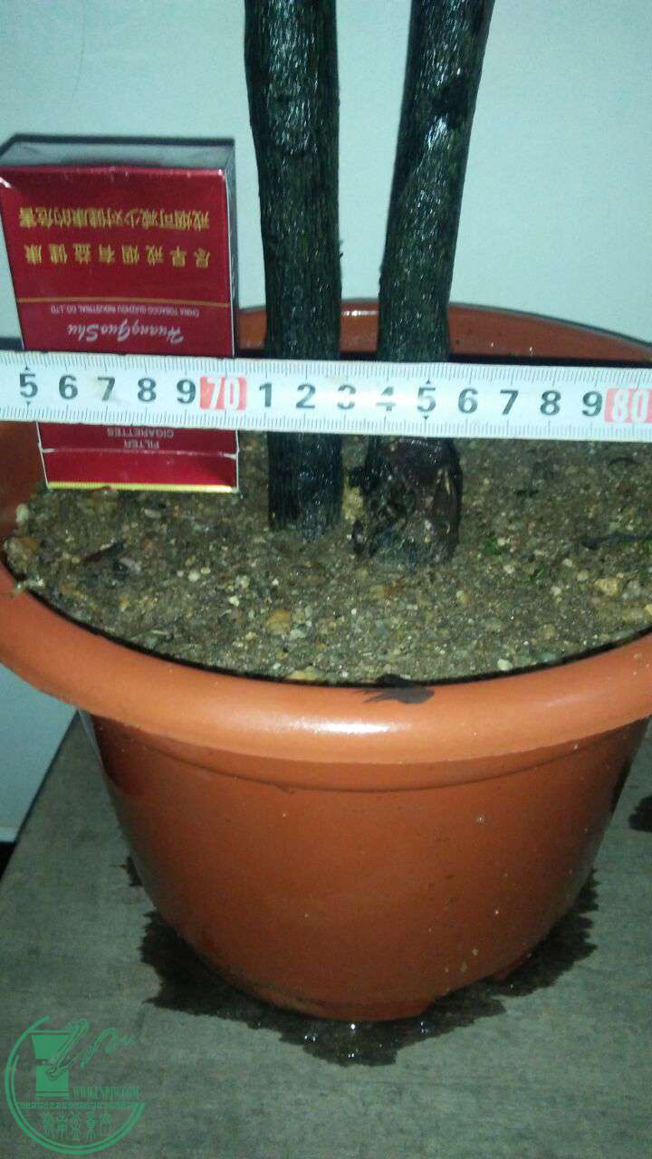QQͼƬ20170509200343.jpg