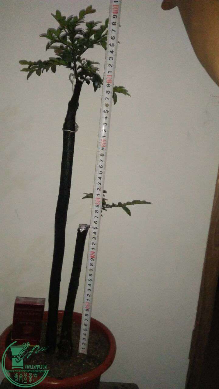 QQͼƬ20170509200327.jpg