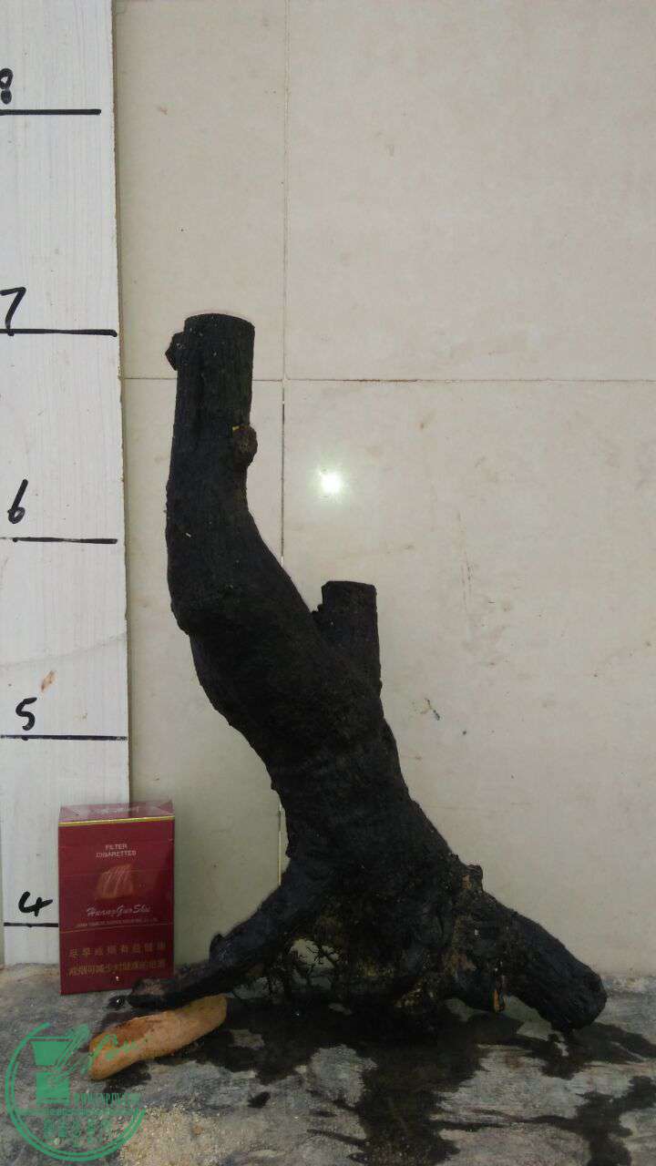 QQͼƬ20170510195532.jpg