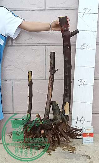 20170511_175248_mh1494501307111.jpg