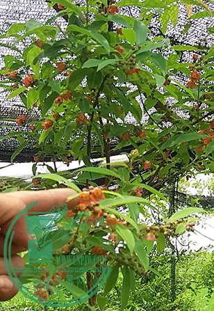 20170509_112424_mh1494502349998.jpg