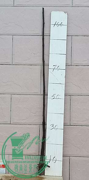 20170512_172424_mh1494587376649.jpg