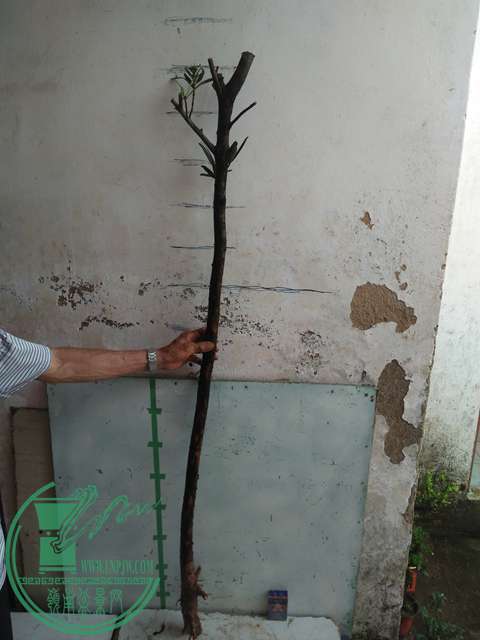 IMG20170512085852.jpg