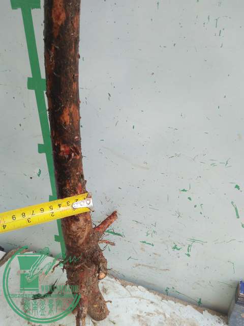 IMG20170512085856.jpg