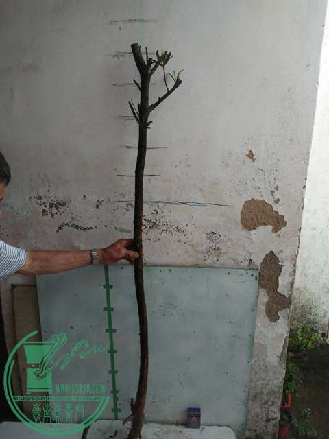 IMG20170512085902.jpg