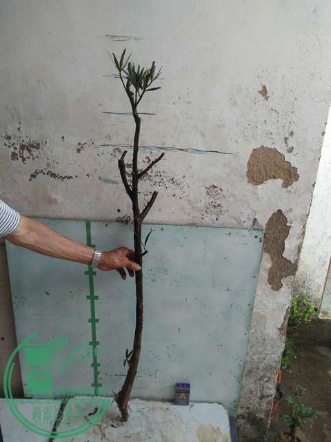 IMG20170512085940.jpg