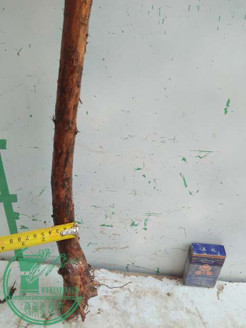 IMG20170512090044.jpg