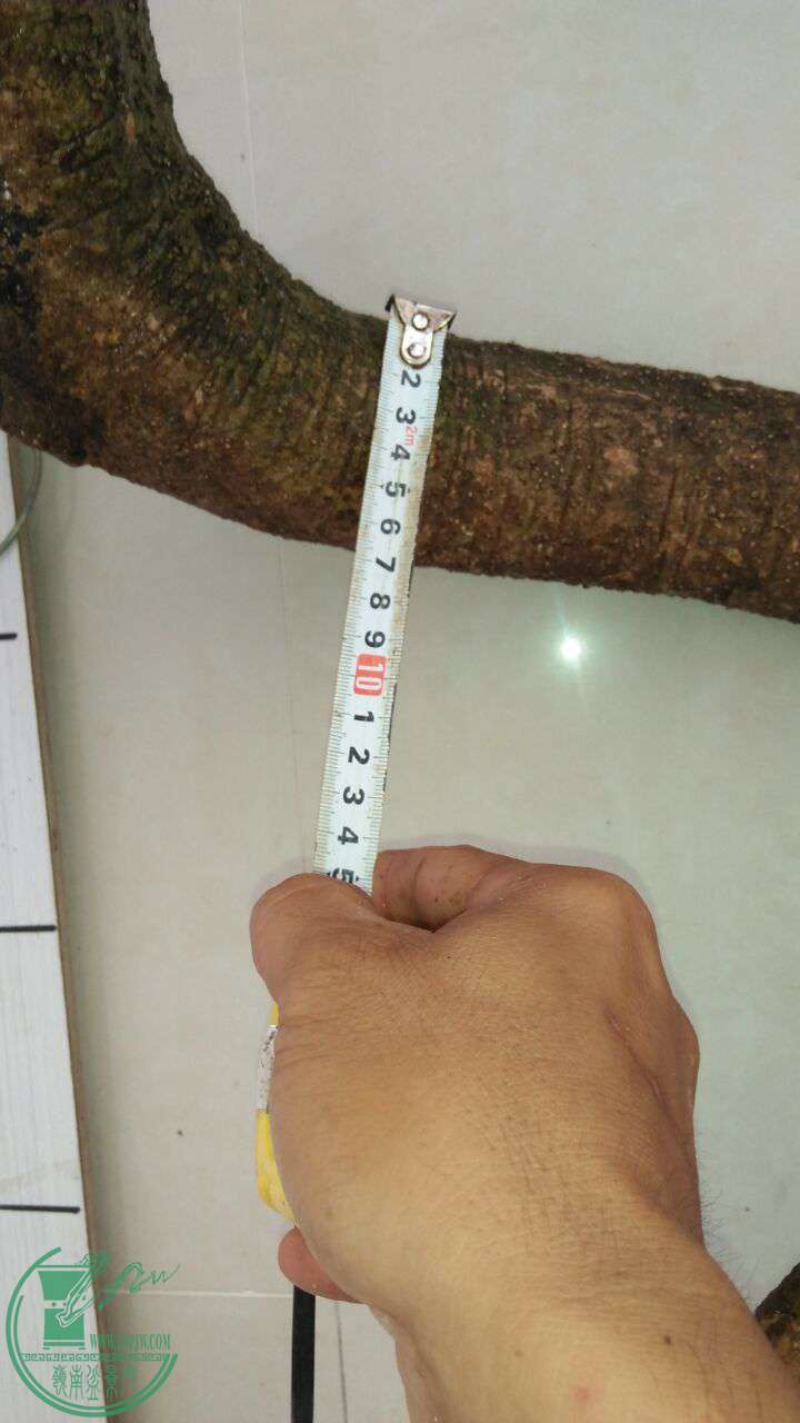 QQͼƬ20170512205226.jpg
