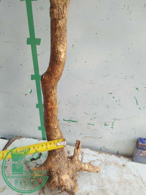 IMG20170512090140.jpg