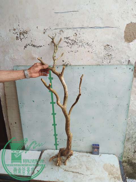 IMG20170512090147.jpg