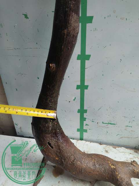 IMG20170513105701.jpg
