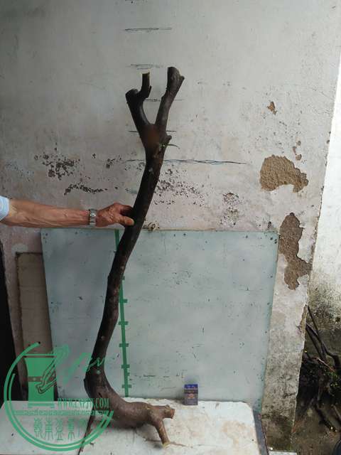 IMG20170513105655.jpg