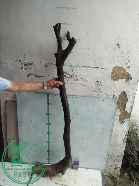 IMG20170513105729.jpg