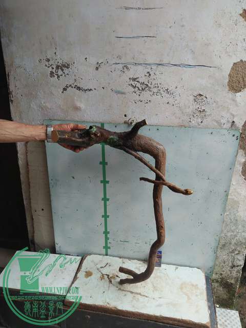 IMG20170513105800.jpg