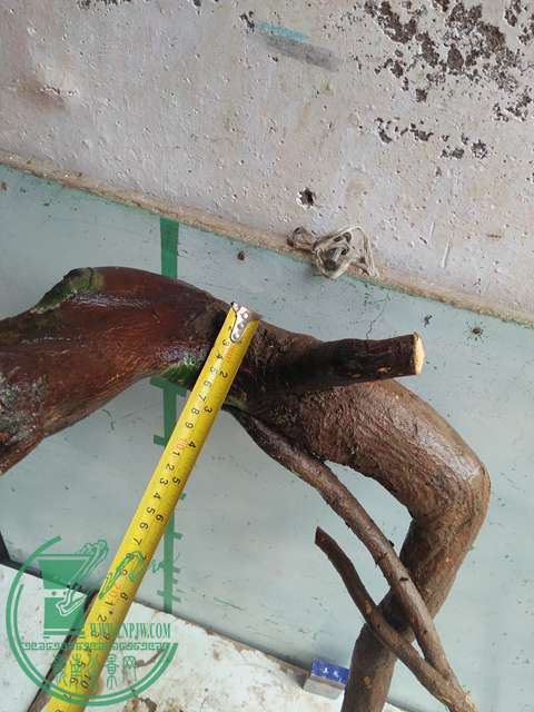 IMG20170513105808.jpg