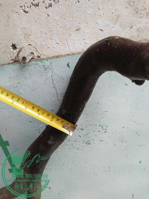 IMG20170513105931.jpg