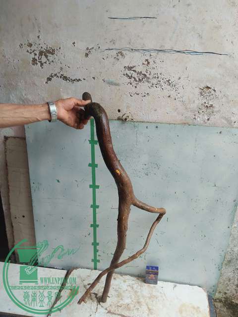 IMG20170513105939.jpg