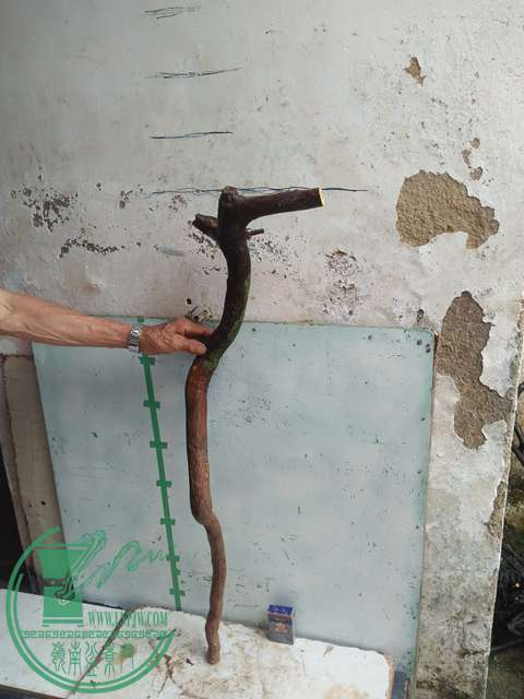 IMG20170513110005.jpg