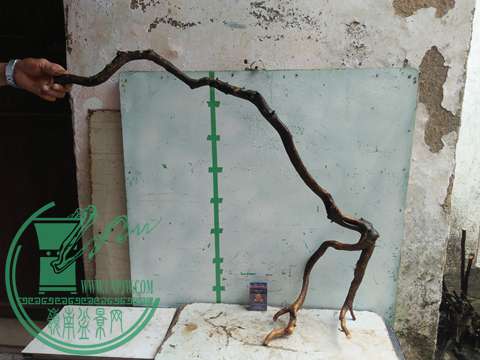 IMG20170513110233.jpg