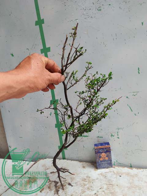 IMG20170513112414.jpg