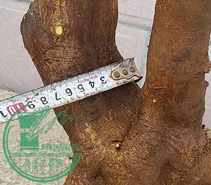 20170514_172840_mh1494760581959.jpg