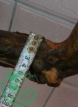 20170514_174312_mh1494761377702.jpg