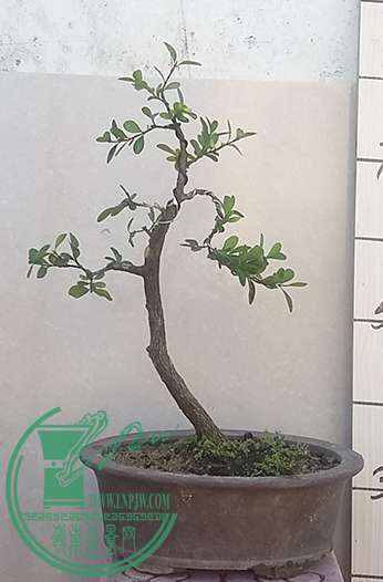 20161127_101330_mh1480212914561.jpg