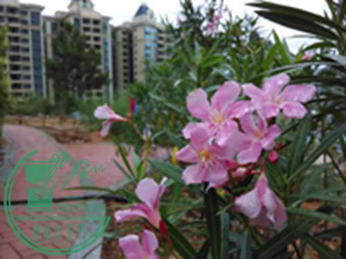 IMG_20151005_165818.jpg
