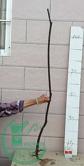 20170516_180750_mh1494934333151.jpg
