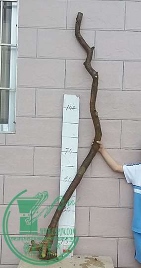 20170517_181612_mh1495020051970.jpg