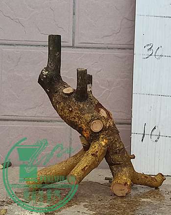 20170519_174452_mh1495195333659.jpg