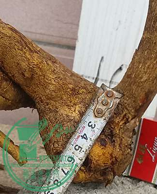 20170519_174621_mh1495195365948.jpg