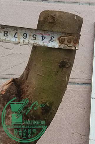 20170519_175319_mh1495195650995.jpg