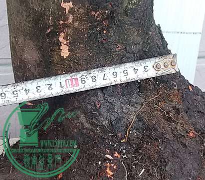 20170519_175305_mh1495195617504.jpg