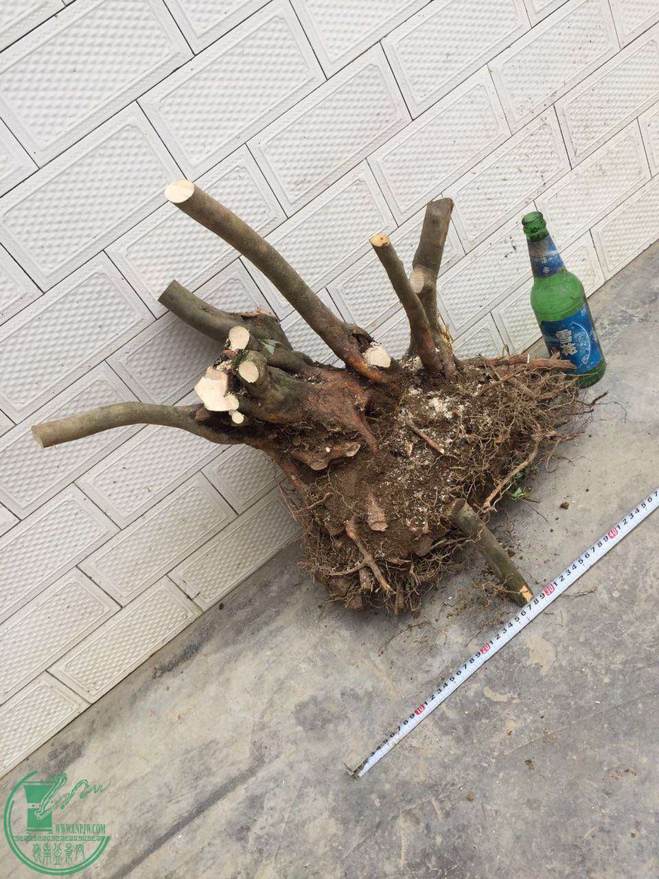 40.jpg