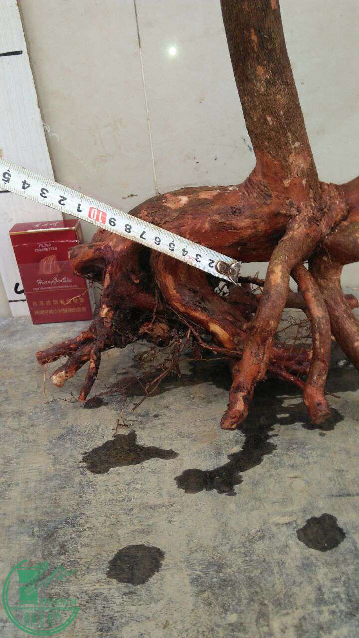 QQͼƬ20170519203241.jpg