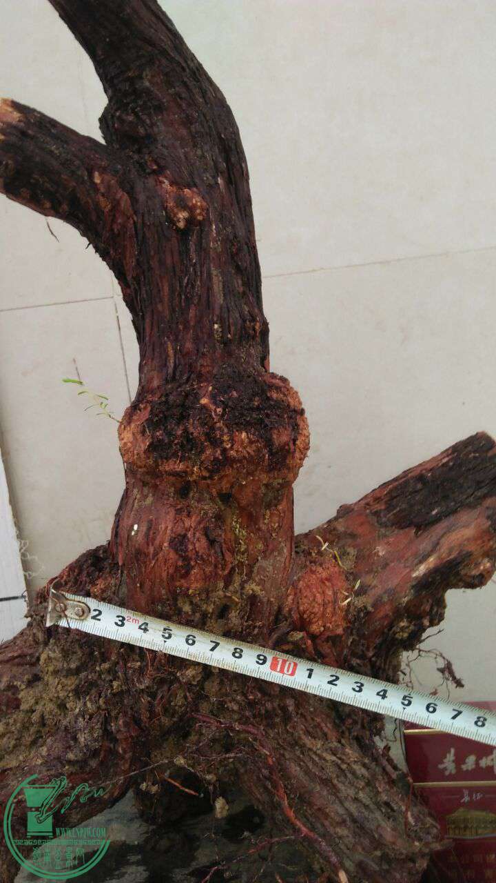 QQͼƬ20170520203424.jpg