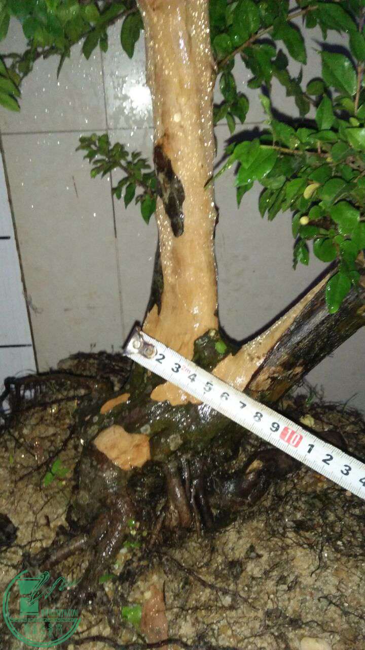 QQͼƬ20170520203312.jpg