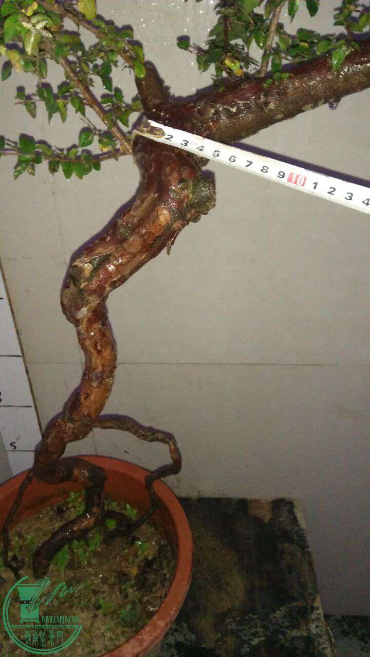QQͼƬ20170520203255.jpg