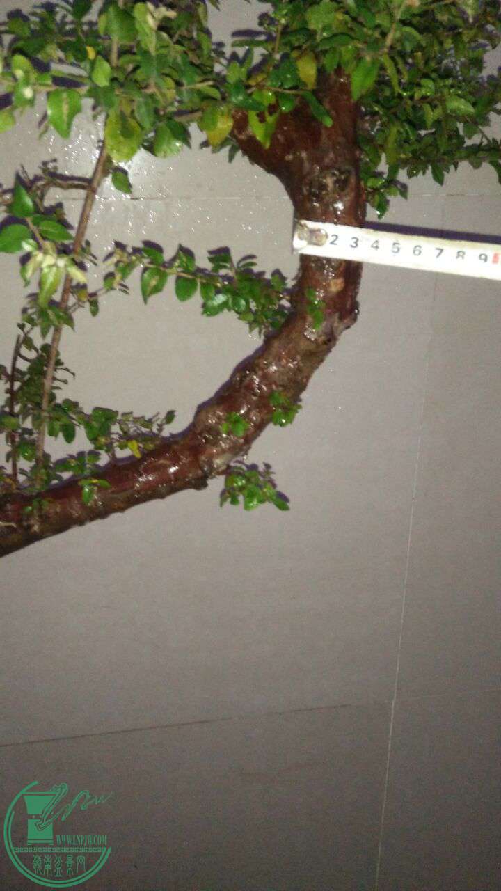 QQͼƬ20170520203238.jpg