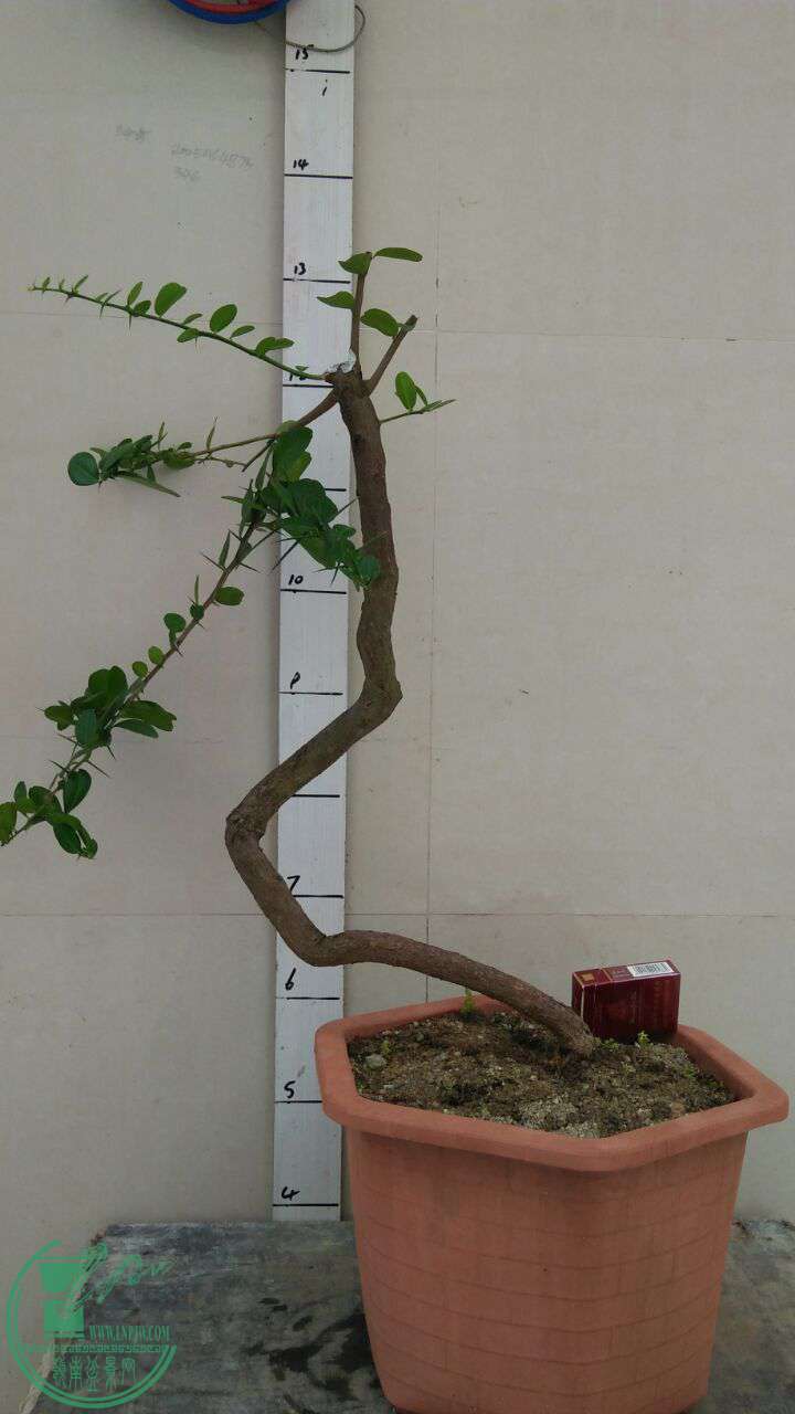 QQͼƬ20170520203532.jpg