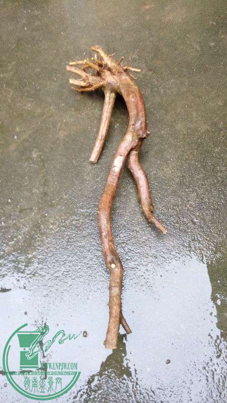 890304