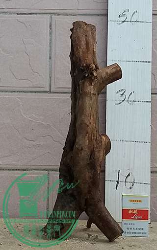 20170522_092807_mh1495455588389.jpg