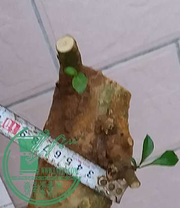 20170522_184846_mh1495453483254.jpg