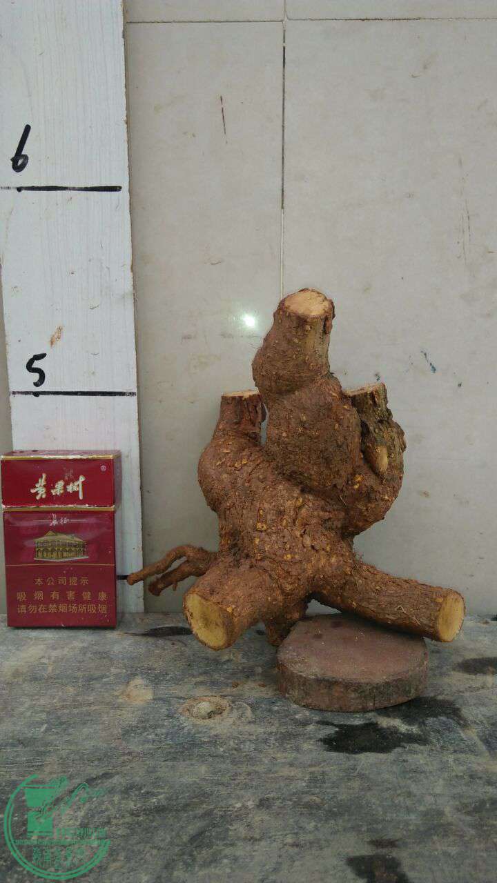 QQͼƬ20170523202120.jpg