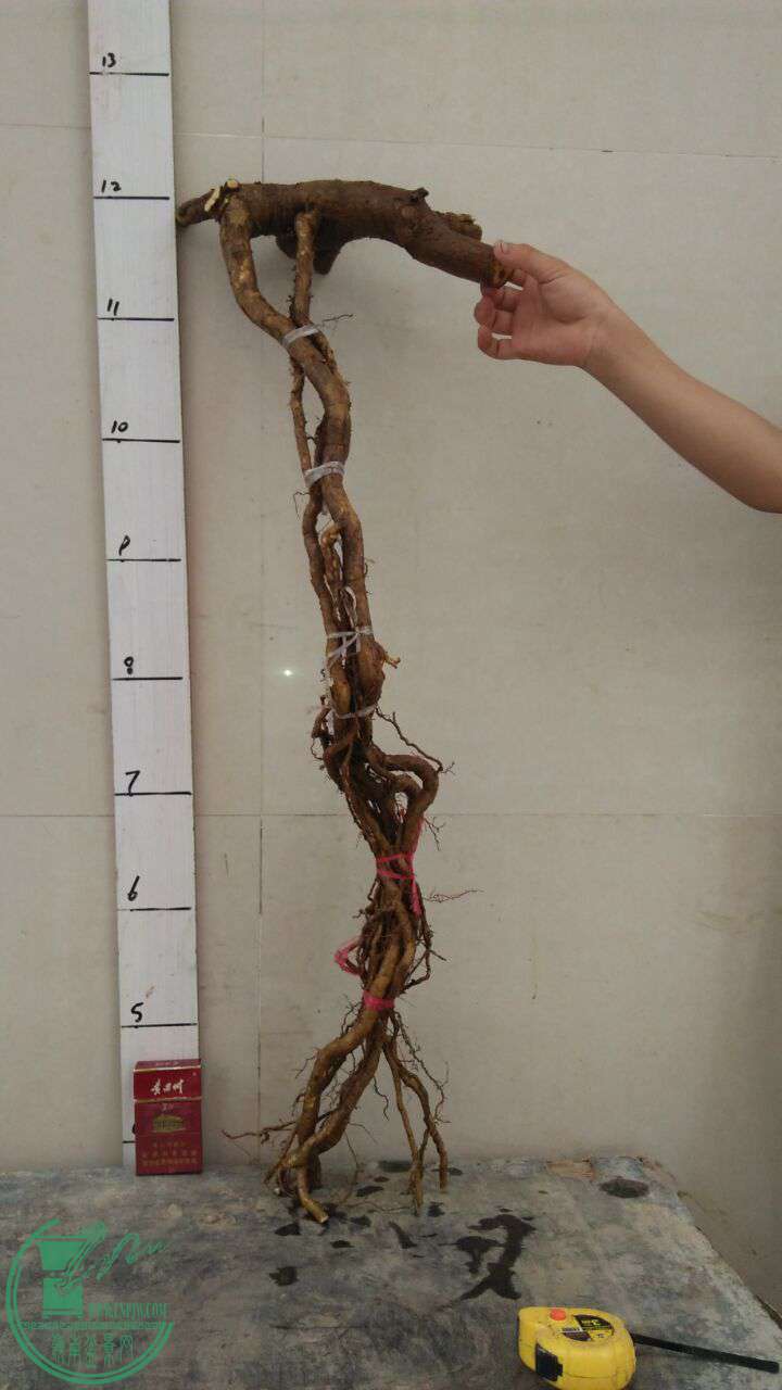 QQͼƬ20170523202214.jpg