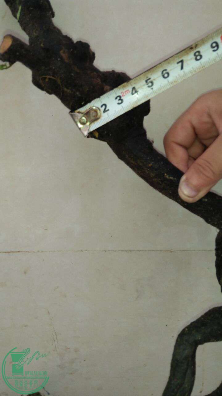 QQͼƬ20170523202126.jpg