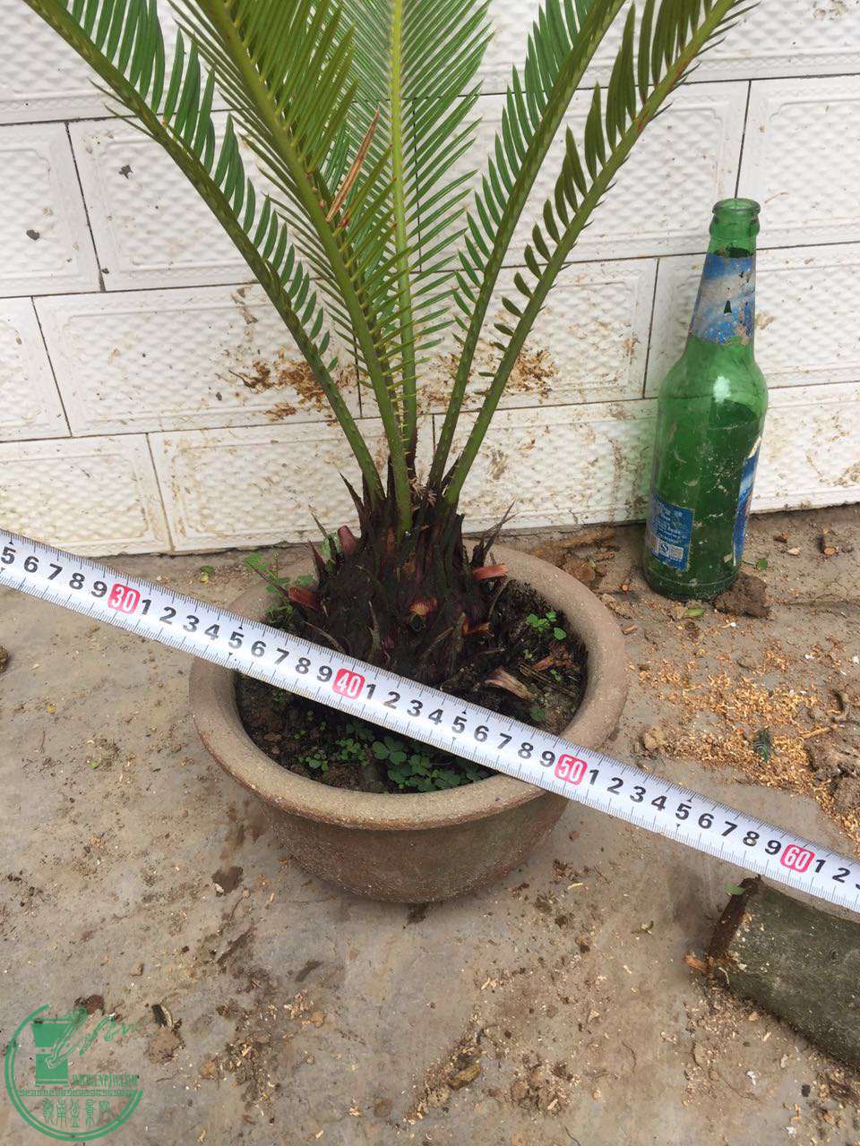 12.jpg