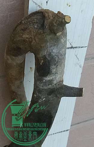 20170529_183205_mh1496057909347.jpg