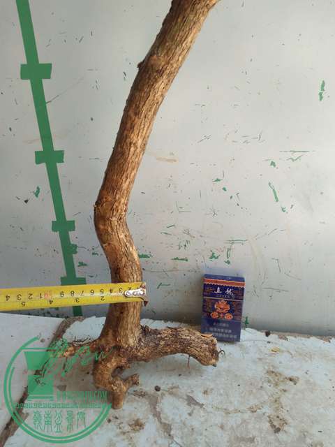 IMG20170529133925.jpg